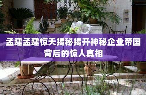 孟建孟建惊天揭秘揭开神秘企业帝国背后的惊人真相
