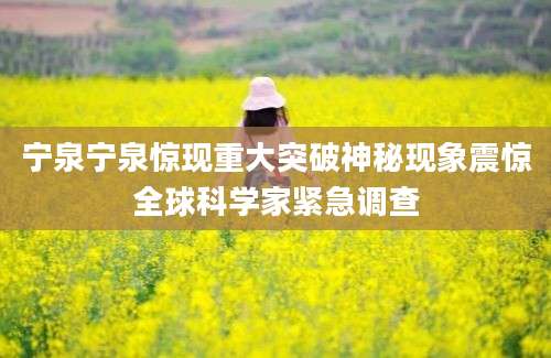 宁泉宁泉惊现重大突破神秘现象震惊全球科学家紧急调查