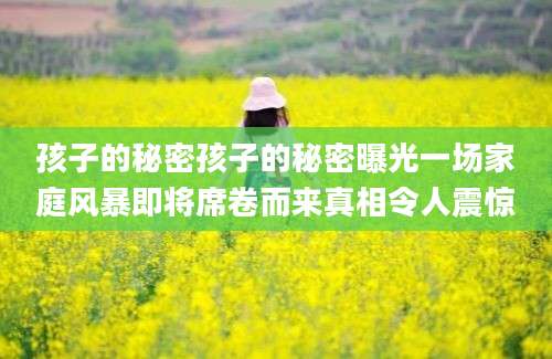 孩子的秘密孩子的秘密曝光一场家庭风暴即将席卷而来真相令人震惊
