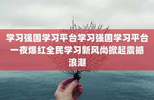 学习强国学习平台学习强国学习平台一夜爆红全民学习新风尚掀起震撼浪潮