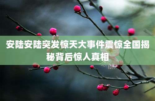 安陆安陆突发惊天大事件震惊全国揭秘背后惊人真相
