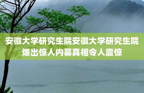 安徽大学研究生院安徽大学研究生院爆出惊人内幕真相令人震惊