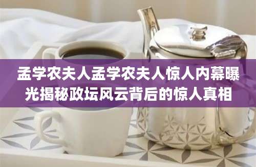 孟学农夫人孟学农夫人惊人内幕曝光揭秘政坛风云背后的惊人真相