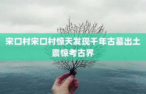 宋口村宋口村惊天发现千年古墓出土震惊考古界