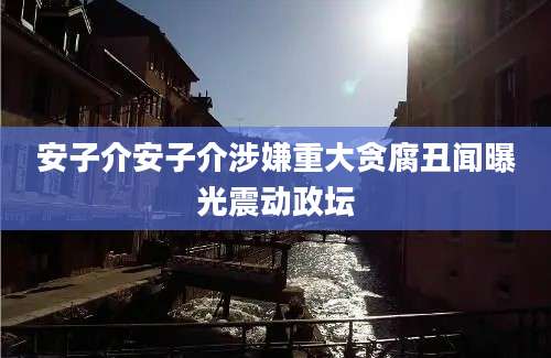 安子介安子介涉嫌重大贪腐丑闻曝光震动政坛