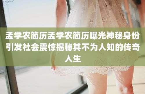 孟学农简历孟学农简历曝光神秘身份引发社会震惊揭秘其不为人知的传奇人生
