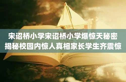 宋诏桥小学宋诏桥小学爆惊天秘密揭秘校园内惊人真相家长学生齐震惊