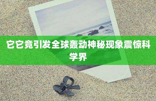 它它竟引发全球轰动神秘现象震惊科学界