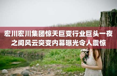 宏川宏川集团惊天巨变行业巨头一夜之间风云突变内幕曝光令人震惊