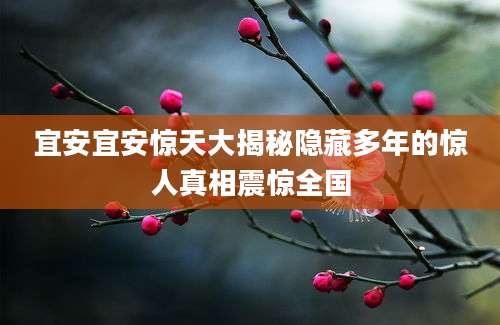宜安宜安惊天大揭秘隐藏多年的惊人真相震惊全国