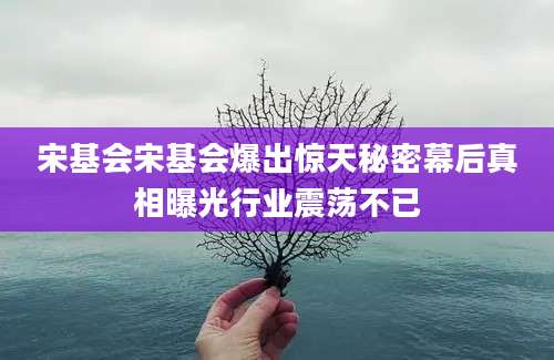 宋基会宋基会爆出惊天秘密幕后真相曝光行业震荡不已