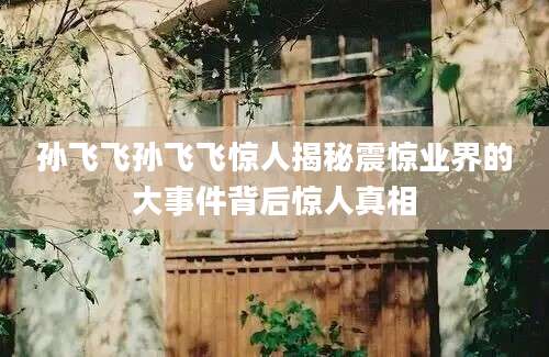 孙飞飞孙飞飞惊人揭秘震惊业界的大事件背后惊人真相