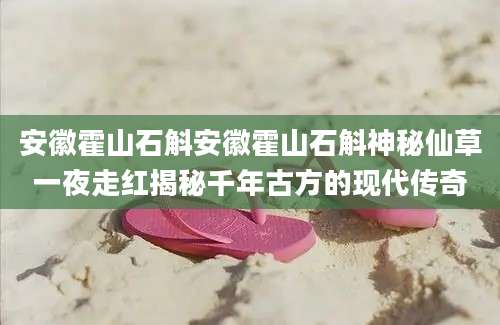 安徽霍山石斛安徽霍山石斛神秘仙草一夜走红揭秘千年古方的现代传奇