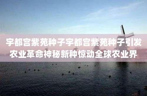 宇都宫紫苑种子宇都宫紫苑种子引发农业革命神秘新种惊动全球农业界
