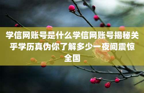 学信网账号是什么学信网账号揭秘关乎学历真伪你了解多少一夜间震惊全国