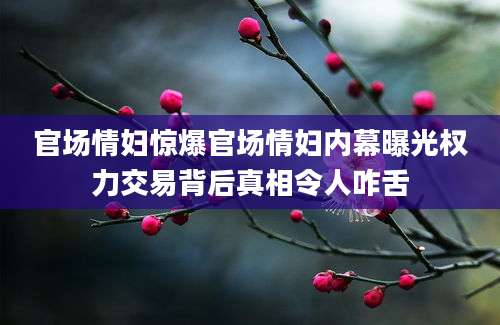 官场情妇惊爆官场情妇内幕曝光权力交易背后真相令人咋舌