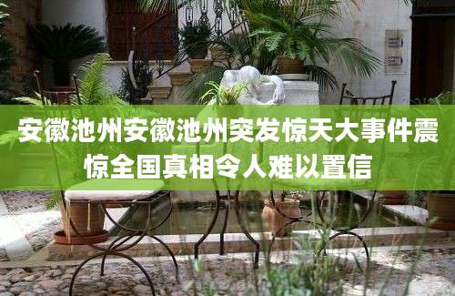 安徽池州安徽池州突发惊天大事件震惊全国真相令人难以置信