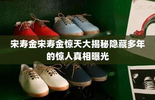 宋寿金宋寿金惊天大揭秘隐藏多年的惊人真相曝光