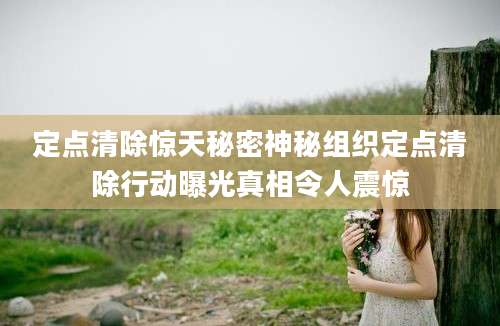 定点清除惊天秘密神秘组织定点清除行动曝光真相令人震惊