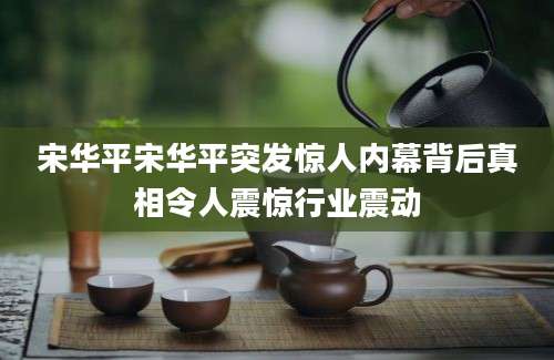 宋华平宋华平突发惊人内幕背后真相令人震惊行业震动