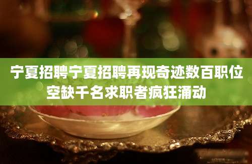 宁夏招聘宁夏招聘再现奇迹数百职位空缺千名求职者疯狂涌动