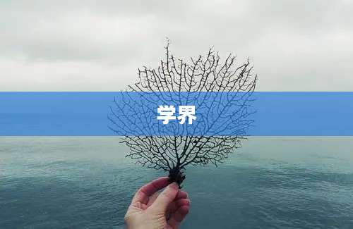 学界