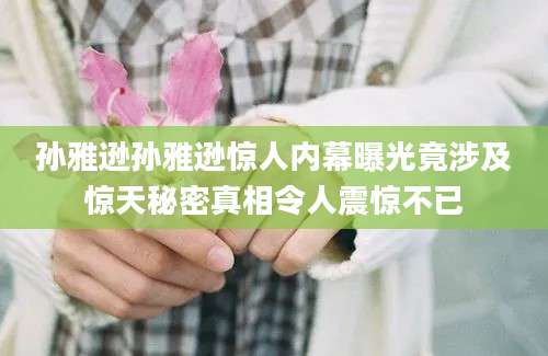 孙雅逊孙雅逊惊人内幕曝光竟涉及惊天秘密真相令人震惊不已