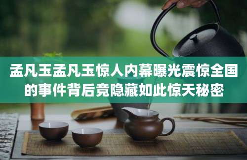 孟凡玉孟凡玉惊人内幕曝光震惊全国的事件背后竟隐藏如此惊天秘密
