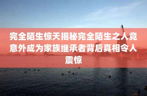完全陌生惊天揭秘完全陌生之人竟意外成为家族继承者背后真相令人震惊