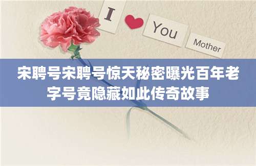 宋聘号宋聘号惊天秘密曝光百年老字号竟隐藏如此传奇故事