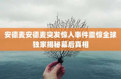 安德麦安德麦突发惊人事件震惊全球独家揭秘幕后真相
