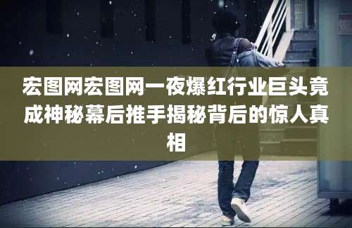 宏图网宏图网一夜爆红行业巨头竟成神秘幕后推手揭秘背后的惊人真相