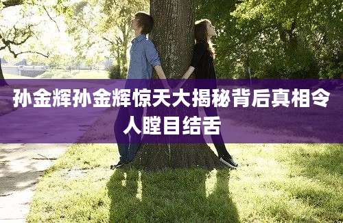 孙金辉孙金辉惊天大揭秘背后真相令人瞠目结舌