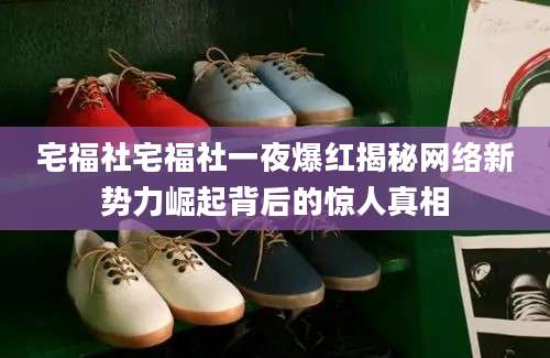 宅福社宅福社一夜爆红揭秘网络新势力崛起背后的惊人真相