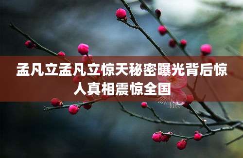 孟凡立孟凡立惊天秘密曝光背后惊人真相震惊全国