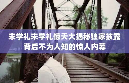 宋学礼宋学礼惊天大揭秘独家披露背后不为人知的惊人内幕