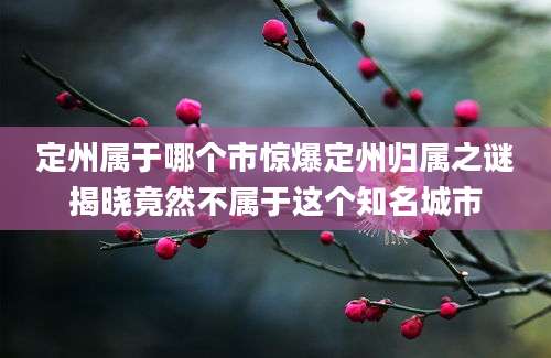 定州属于哪个市惊爆定州归属之谜揭晓竟然不属于这个知名城市
