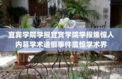 宜宾学院学报宜宾学院学报爆惊人内幕学术造假事件震惊学术界
