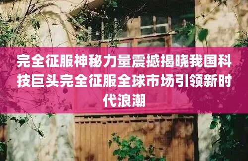 完全征服神秘力量震撼揭晓我国科技巨头完全征服全球市场引领新时代浪潮