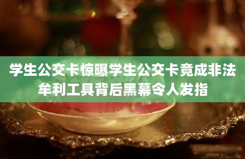 学生公交卡惊曝学生公交卡竟成非法牟利工具背后黑幕令人发指