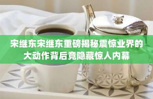 宋继东宋继东重磅揭秘震惊业界的大动作背后竟隐藏惊人内幕