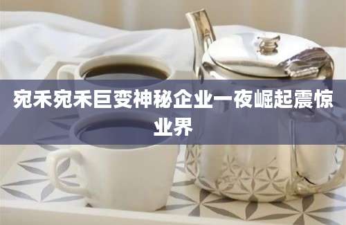 宛禾宛禾巨变神秘企业一夜崛起震惊业界