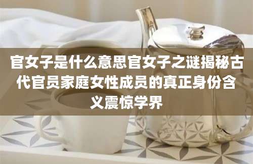 官女子是什么意思官女子之谜揭秘古代官员家庭女性成员的真正身份含义震惊学界