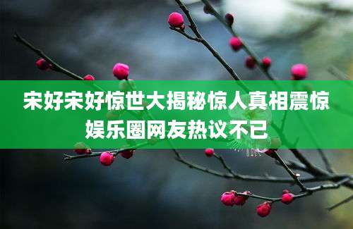 宋好宋好惊世大揭秘惊人真相震惊娱乐圈网友热议不已