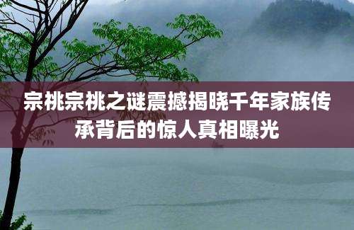 宗祧宗祧之谜震撼揭晓千年家族传承背后的惊人真相曝光