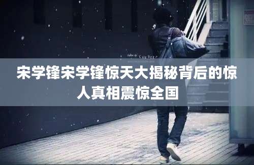 宋学锋宋学锋惊天大揭秘背后的惊人真相震惊全国