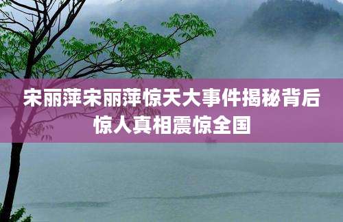 宋丽萍宋丽萍惊天大事件揭秘背后惊人真相震惊全国