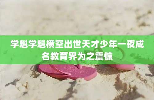 学魁学魁横空出世天才少年一夜成名教育界为之震惊