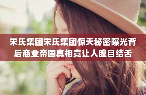 宋氏集团宋氏集团惊天秘密曝光背后商业帝国真相竟让人瞠目结舌