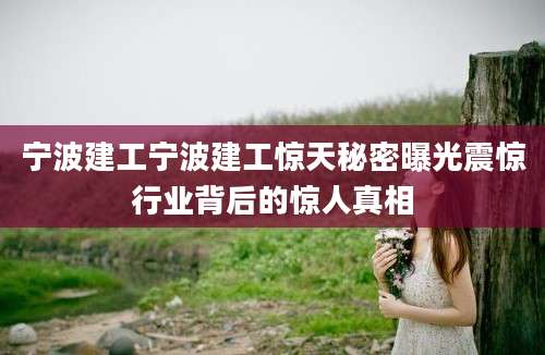 宁波建工宁波建工惊天秘密曝光震惊行业背后的惊人真相